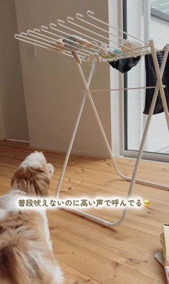 おもちゃを干した時のちゃぽちゃん6