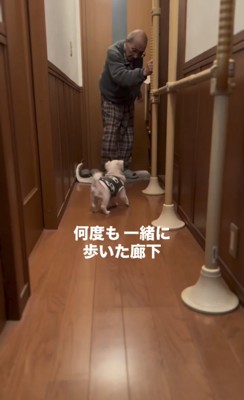 廊下で人に寄り添う犬