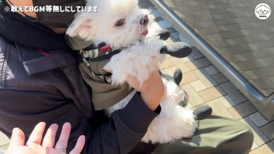 パパさんと1ヶ月ぶりに再会