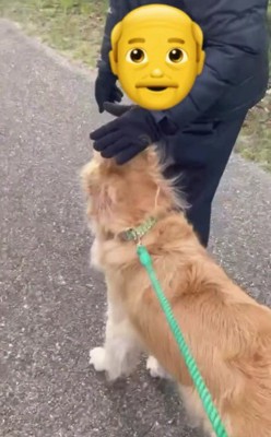 離れたくない…