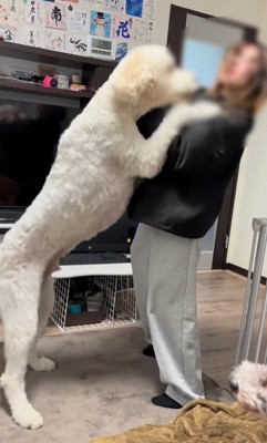 ソラちゃんの熱烈歓迎⑩