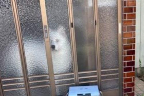 まっちょくんがいる!!