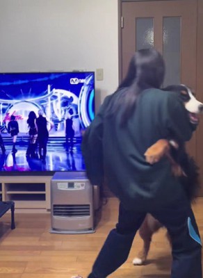 これは…なに…？