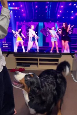 ダンスをしていたら…