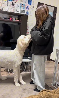 ソラちゃんの熱烈歓迎9