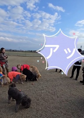 おやつを食べられたにこちゃん