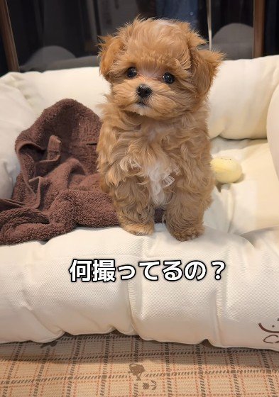 ちょっぴりイライラ