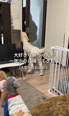 ソラちゃんの熱烈歓迎