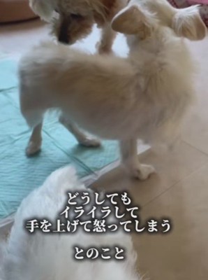 過酷な環境で生きてきた