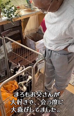 まろちゃんがやってきた