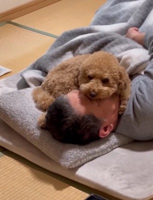 お父さんの上に乗るちゃこたろう君2