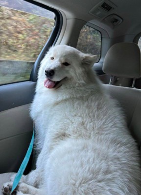 人を惹き付ける力がある?