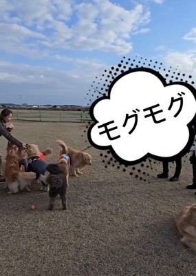 おやつを食べるにこちゃん