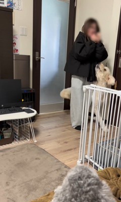 ソラちゃんの熱烈歓迎4