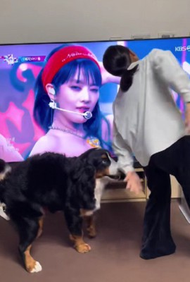 キレのよさに感嘆！！