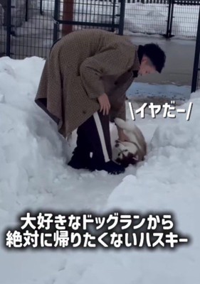 お気に入りのドッグランへ