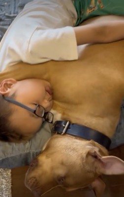 本当の兄弟みたい