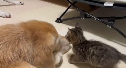 狙って狙って…