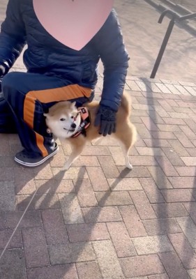 ウットリ小春ちゃん