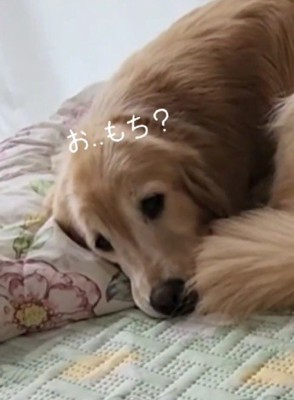 「今日はお餅？」