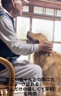 ずっとおじいちゃん見てる
