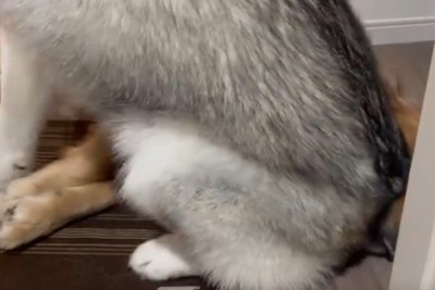 距離感がバグりすぎ！？