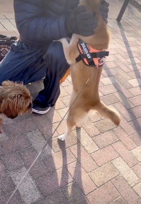 「会いたかったぁぁ」