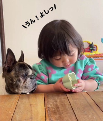 会話が成立してる…!!