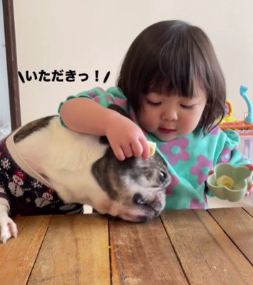 落とした分を食べちゃった!!