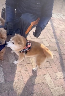 サクッとご挨拶