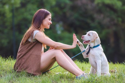 タッチする女性と犬