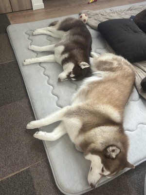 そっくり