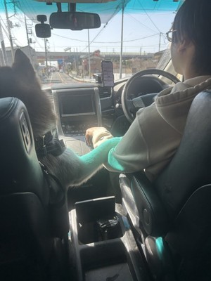 ドライブ