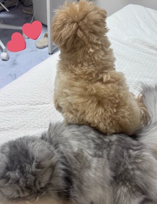 一緒に