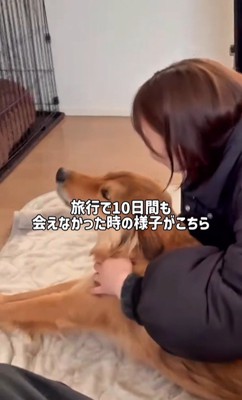 ママさん旅行中のラッキーくん3