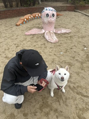お散歩