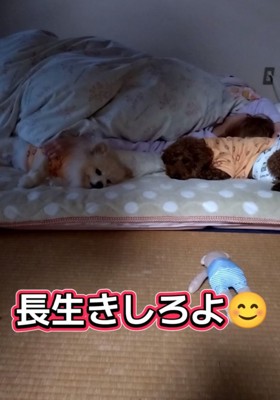 一緒に眠る