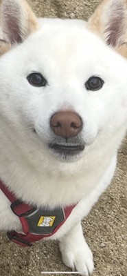 笑顔