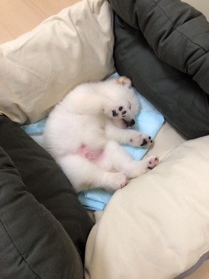 お迎え