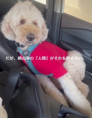 「絶対に寝ない…！！」