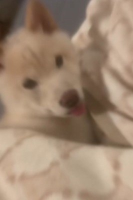 夢の中へ…!?