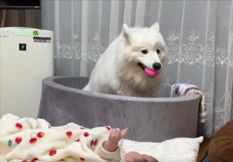 素敵
