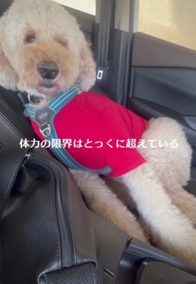 体力の限界を超えてしまった