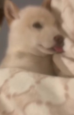 !?