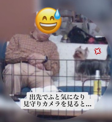 「遊んで！」
