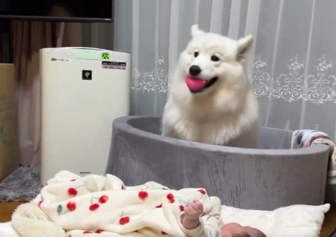 一生懸命