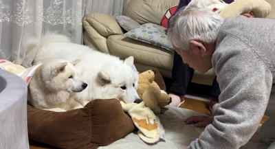おじいちゃん