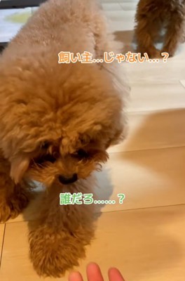 一歩下がる2匹