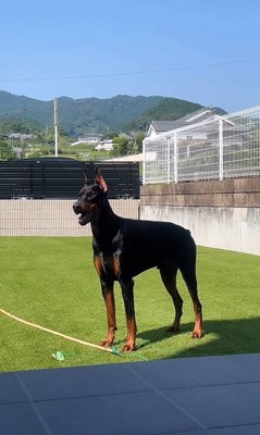 佇んでいるだけでカッコいい！