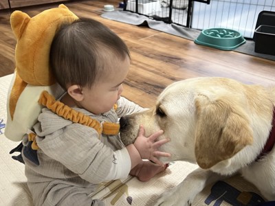 赤ちゃん